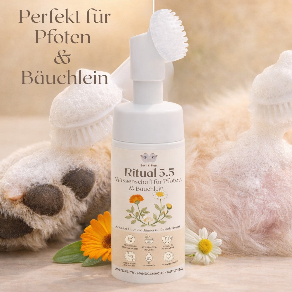 Bert & Hugo Ritual 5.5 – Wissenschaft für Pfoten & Bäuchlein