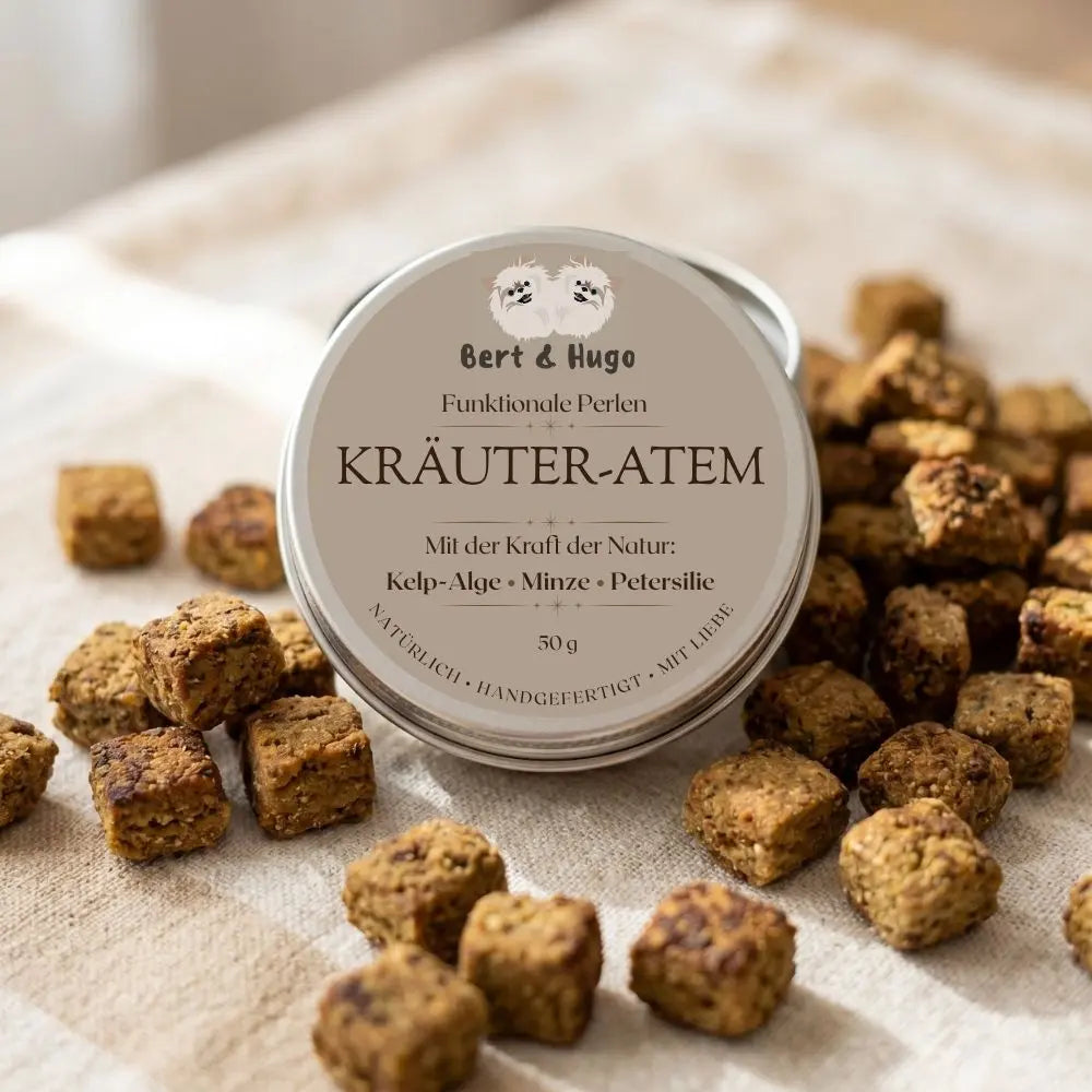 Bert & Hugo – Die komplette Kollektion funktionaler Perlen (4 x 50 g)