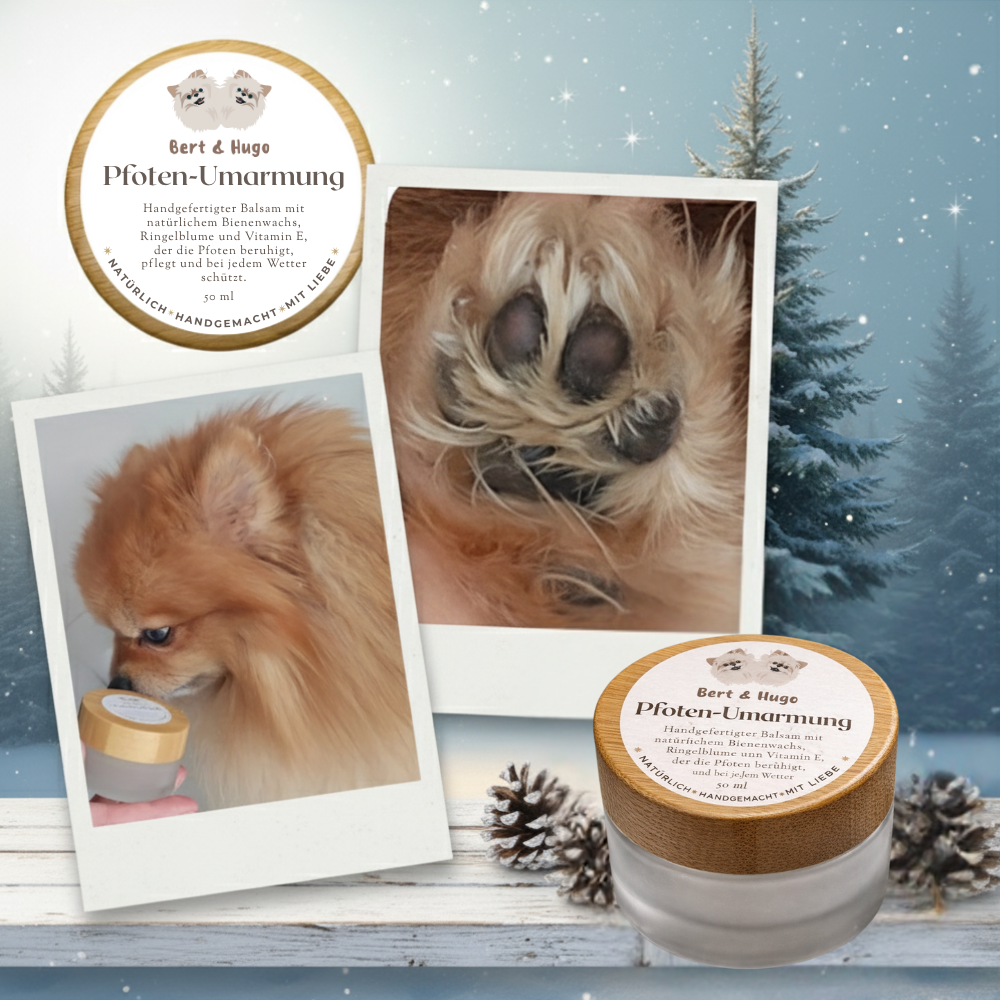 Winterset Bert &amp; Hugo: Pfoten-Umarmung + Winter‑Superfood‑Kekse