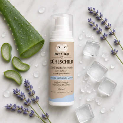 Bert &amp; Hugo Kühlschild  – Kühlserum für Hunde (100 ml)