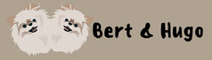 Bert & Hugo 