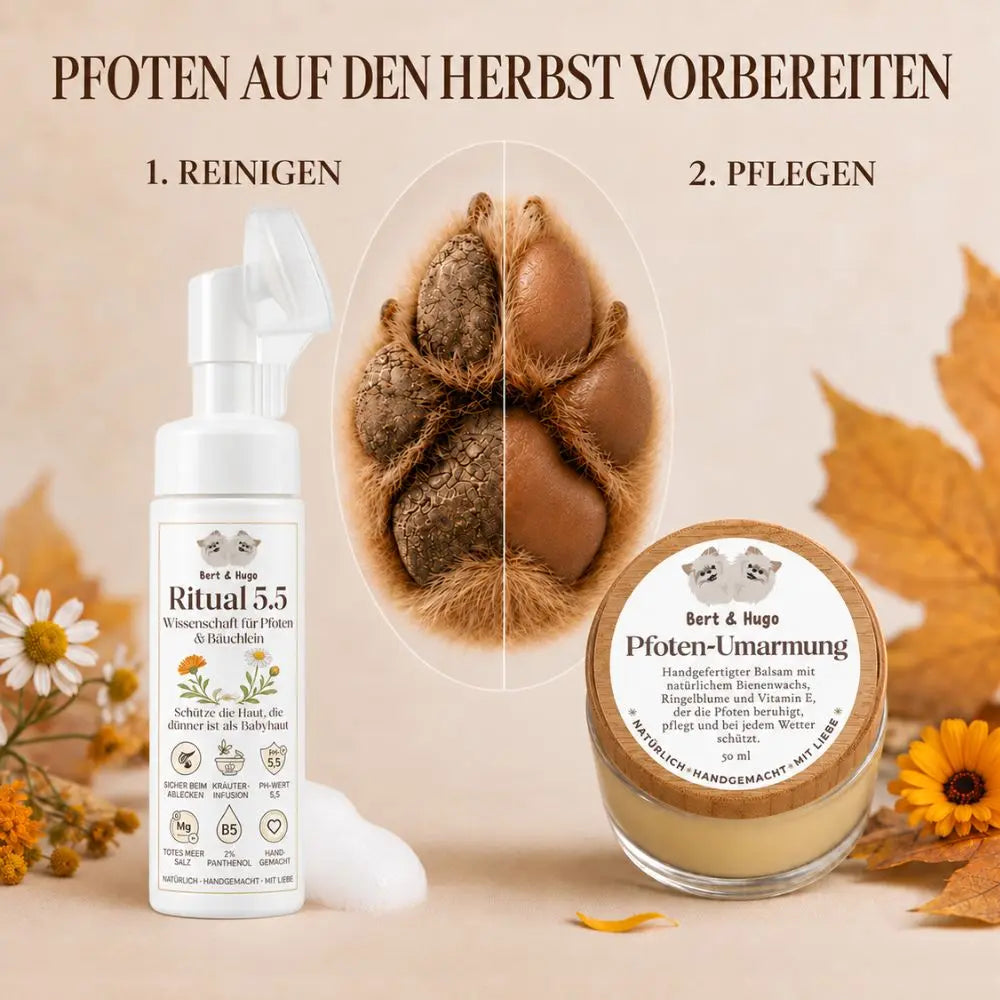 Adventure Trio: Unbeschwerte Waldspaziergänge &amp; Premium-Pflege für deinen Hund
