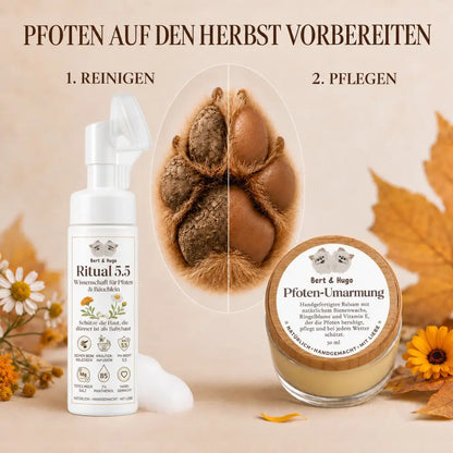 Adventure Trio: Unbeschwerte Waldspaziergänge &amp; Premium-Pflege für deinen Hund