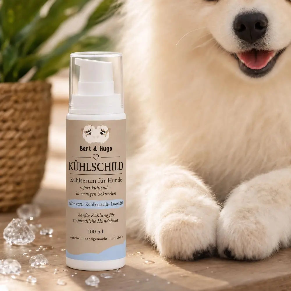 Bert &amp; Hugo Kühlschild  – Kühlserum für Hunde (100 ml)