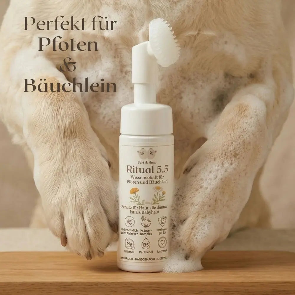 Summer Adventure Trio – Schutz, Pflege &amp; Frische für heiße Sommertage