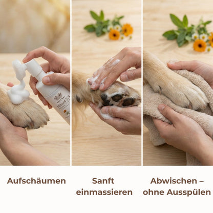 Bert &amp; Hugo Ritual 5.5 – Wissenschaft für Pfoten &amp; Bäuchlein